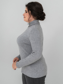 Водолазка All Posa модель ap102148p-srij Фото