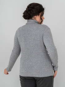 Водолазка All Posa модель ap102148p-srij Фото