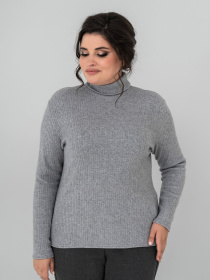 Водолазка All Posa модель ap102148p-srij Фото