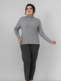 Водолазка All Posa модель ap102148p-srij Водолазка All Posa модель ap102148p-srij Фото