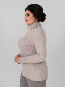 Водолазка All Posa модель ap101737p-kakao Фото