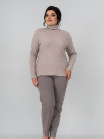 Водолазка All Posa модель ap101737p-kakao Фото