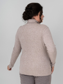 Водолазка All Posa модель ap101737p-kakao Фото