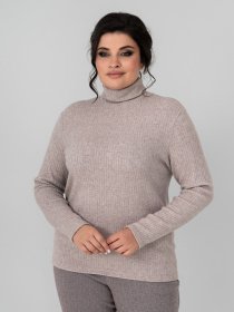 Водолазка All Posa модель ap101737p-kakao Фото