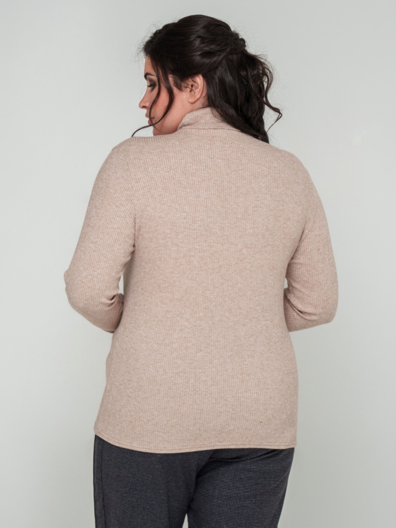 Водолазка All Posa модель ap101737p-prqzhene-moloko Фото