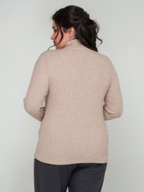 Водолазка All Posa модель ap101737p-prqzhene-moloko Фото