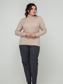 Водолазка All Posa модель ap101737p-prqzhene-moloko Водолазка All Posa модель ap101737p-prqzhene-moloko Фото