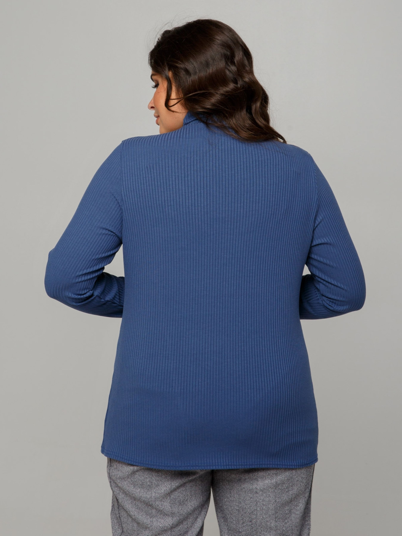 Водолазка All Posa модель ap101676p-dzhins Фото