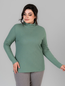 Водолазка All Posa модель ap101676p-zelenij Фото