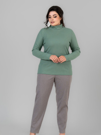 Водолазка All Posa модель ap101676p-zelenij Фото