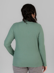 Водолазка All Posa модель ap101676p-zelenij Фото