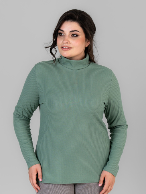 Водолазка All Posa модель ap101676p-zelenij Фото