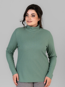 Водолазка All Posa модель ap101676p-zelenij Фото