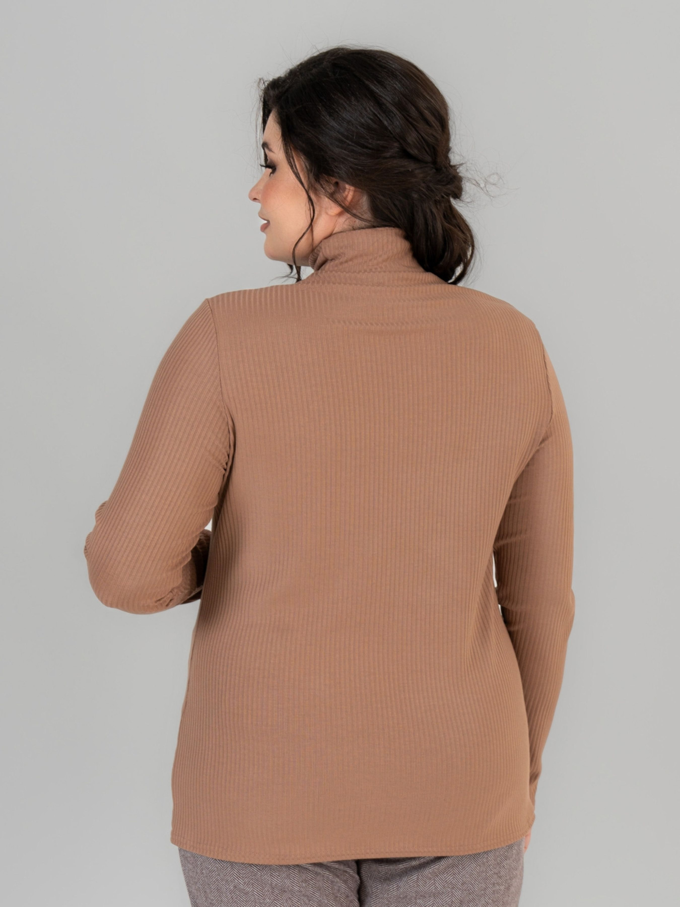 Водолазка All Posa модель ap101676p-kapuchno Фото