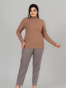 Водолазка All Posa модель ap101676p-kapuchno Фото