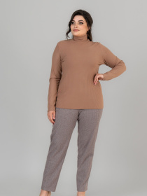 Водолазка All Posa модель ap101676p-kapuchno Фото