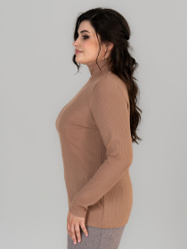Водолазка All Posa модель ap101676p-kapuchno Фото