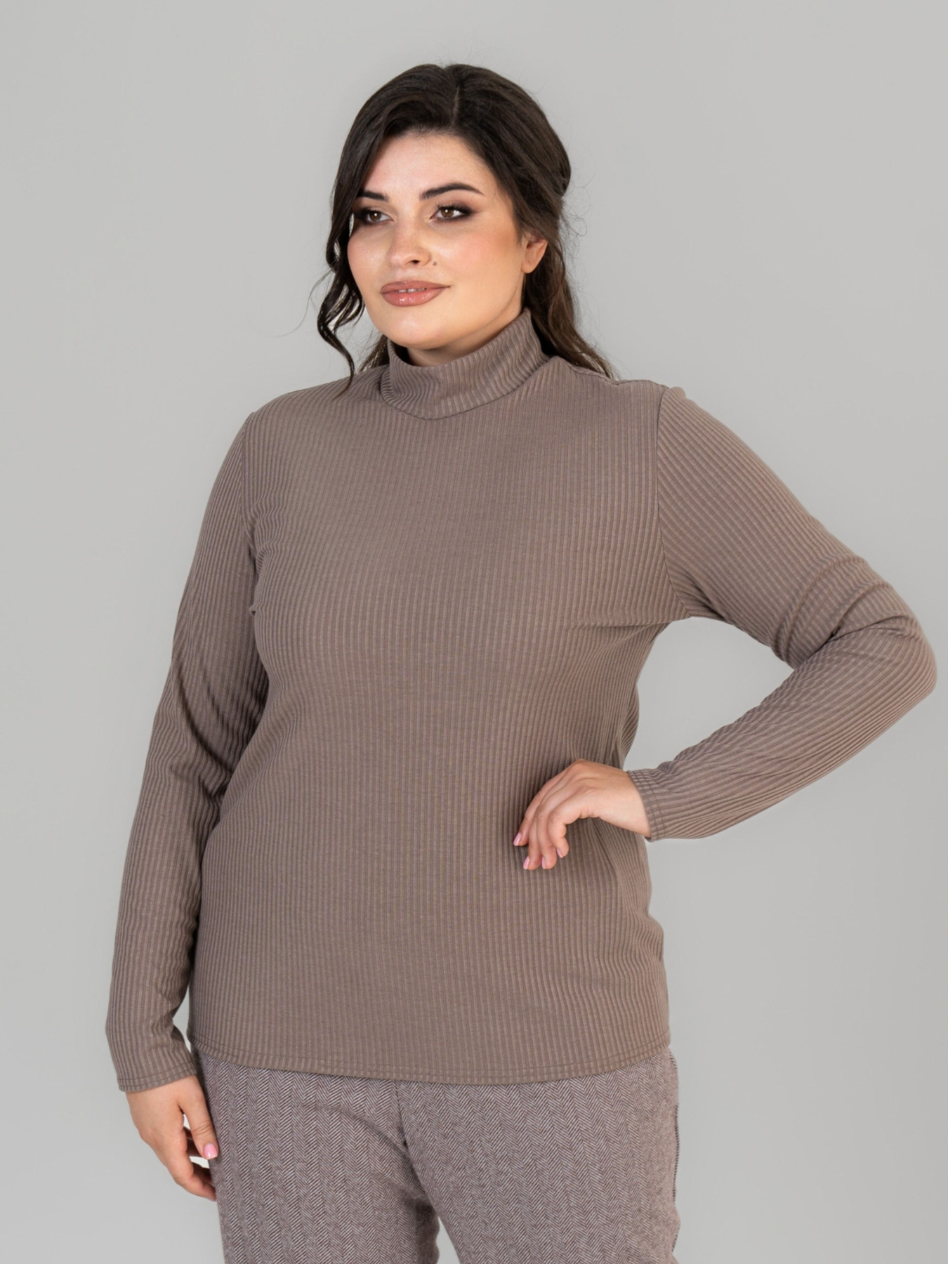 Водолазка All Posa модель ap101676p-mokkachno Фото