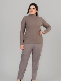 Водолазка All Posa модель ap101676p-mokkachno Фото