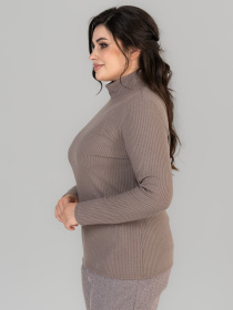 Водолазка All Posa модель ap101676p-mokkachno Фото