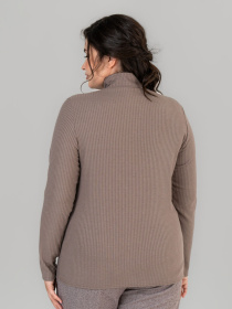 Водолазка All Posa модель ap101676p-mokkachno Фото