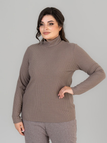 Водолазка All Posa модель ap101676p-mokkachno Фото