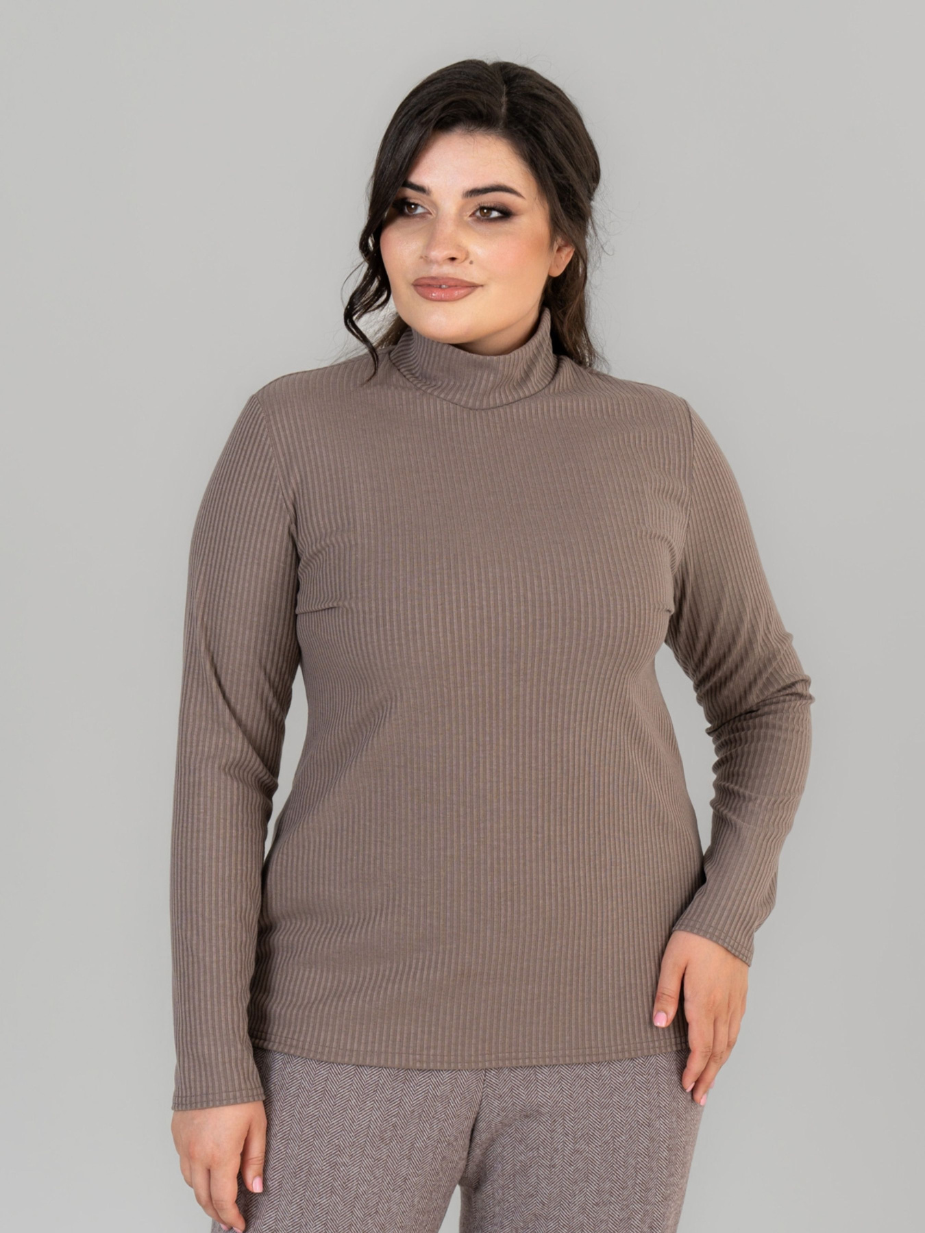 Водолазка All Posa модель ap101676p-mokkachno Фото