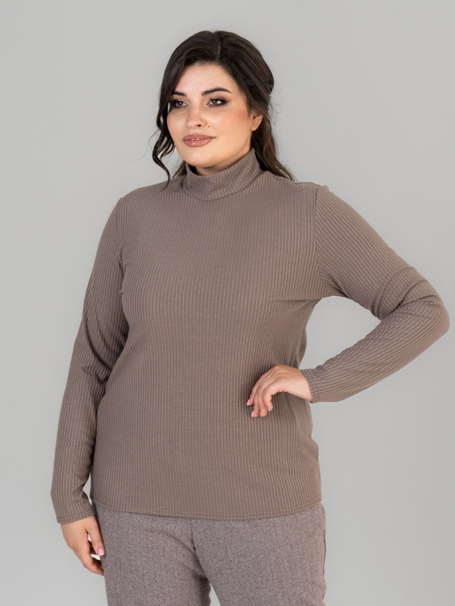 Водолазка All Posa модель ap101676p-mokkachno Фото