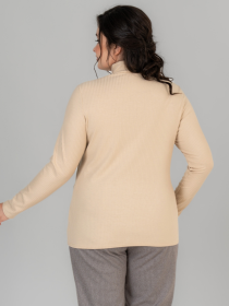 Водолазка All Posa модель ap101676p-prqzhene-moloko Фото