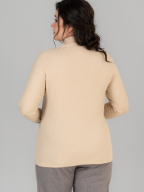 Водолазка All Posa модель ap101676p-prqzhene-moloko Фото