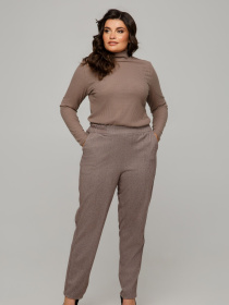 Брюки повседневные All Posa модель ap101669p-korichnevij Фото