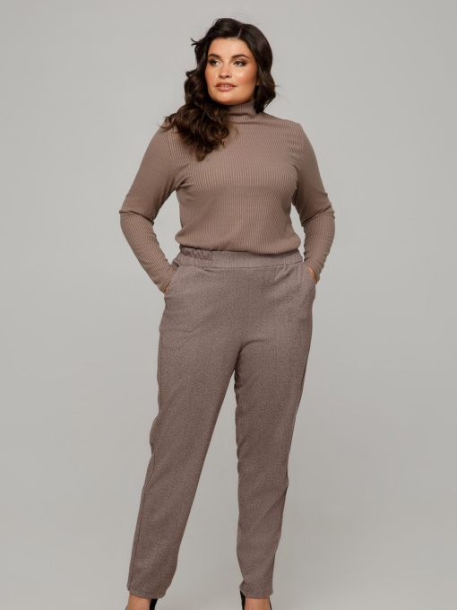 Повсякденні штани All Posa модель ap101669p-korichnevij Фото