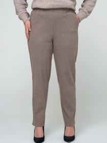 Брюки повседневные All Posa модель ap101669p-kapuchno Фото