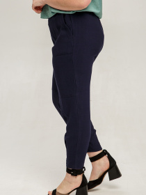 Штани повсякденні All Posa модель ap101471p-temno-sinj Фото