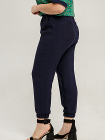 Штани повсякденні All Posa модель ap101468p-temno-sinj Фото