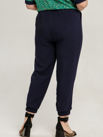 Штани повсякденні All Posa модель ap101468p-temno-sinj Фото