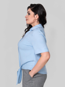 Блуза All Posa модель ap102390p-blakitnij Фото