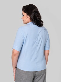 Блуза All Posa модель ap102390p-blakitnij Фото