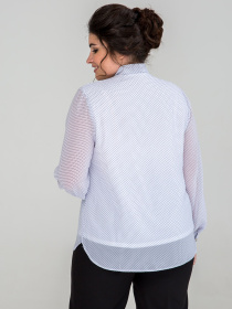 Блуза All Posa модель ap101244p-drbnij-goroh Фото