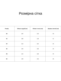 Блуза All Posa модель ap100179p-blakitnij Фото