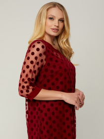 Блуза All Posa модель ap1427-1p-bordovj Фото