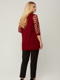 Блуза All Posa модель ap1427-1p-bordovj Фото