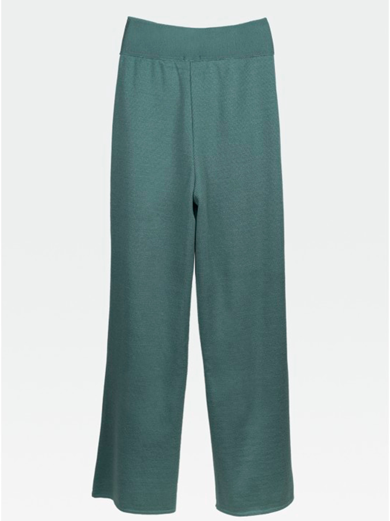 Повседневные штаны Nita модель bryuki-n843-23-polnx-zelenij-ld Фото