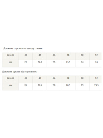 Рубашка RiMari модель 0121-sliva Фото