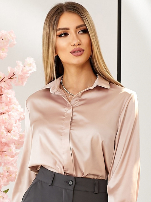 Блуза LadyLike модель ll191130089-bezhevij Фото