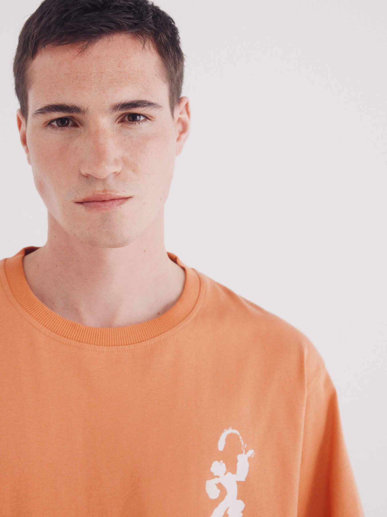 Футболка SPRINGFIELD модель 1459345-64 Фото