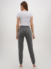 Штани спортивні US Polo модель G082GL0OP.000.1255537.VR081 Фото