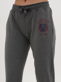 Штани спортивні US Polo модель G082GL0OP.000.1255537.VR081 Фото