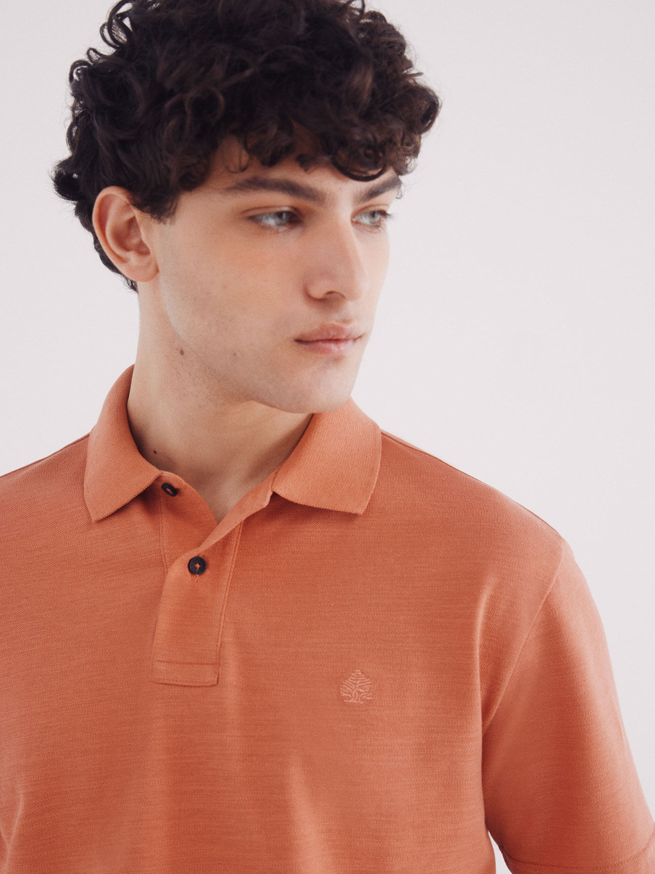 Поло SPRINGFIELD модель 4409015-64 Фото