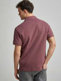 Поло SPRINGFIELD Модель 4589101-68 Фото